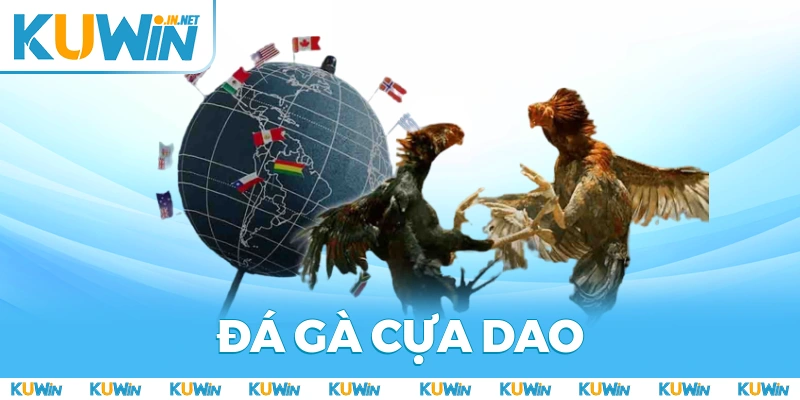 Khám Phá Đá Gà Cựa Dao Quy Tắc, Kỹ Thuật Và Mẹo Thắng