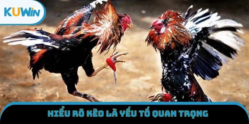 Hiểu rõ kèo là yếu tố quan trọng