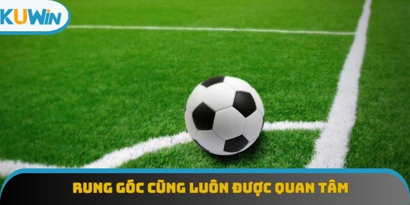 Rung góc cũng luôn được quan tâm